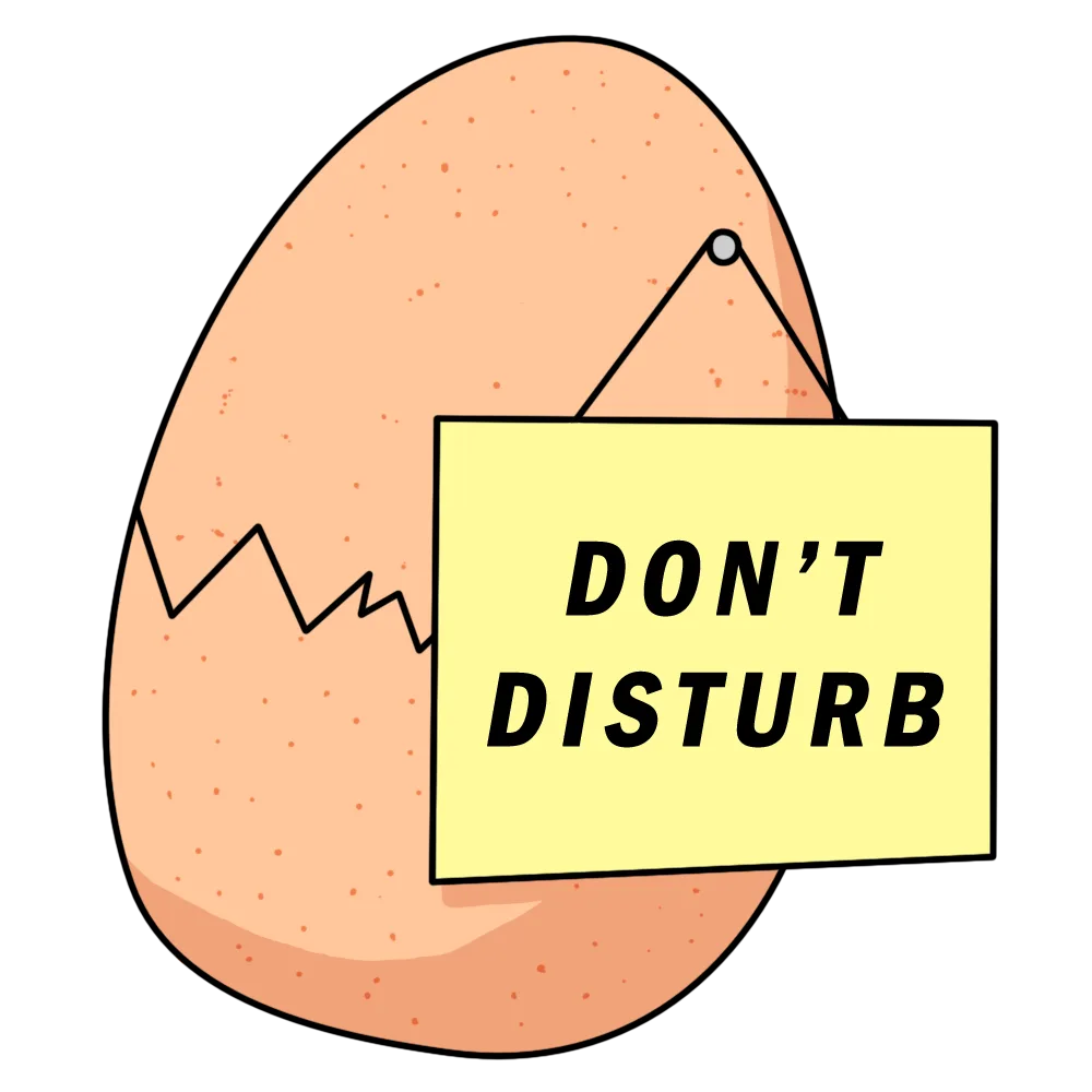 don't disturb.webp